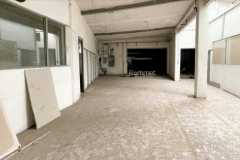 IMG-20260311-WA0054