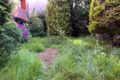 IMG-20241203-WA0074