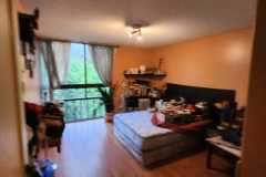 IMG-20250513-WA0116
