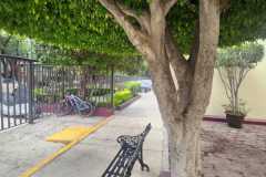 IMG-20250513-WA0158